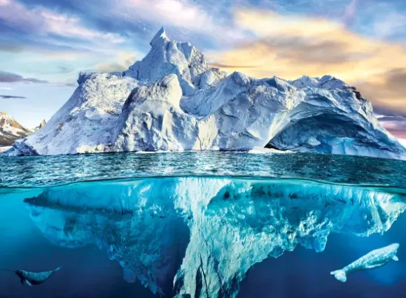 Save our Panet Collection - Arctique