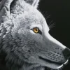 Schimmel William - Schim Schimmel - Wolf Light