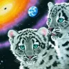Schimmel William - Schim Schimmel - Miracle of the Universe