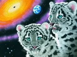 Schimmel William - Schim Schimmel - Miracle of the Universe