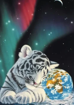 Schimmel William - Schim Schimmel - Earth Light