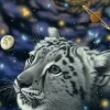 Schimmel William - Schim Schimmel - One with the Universe