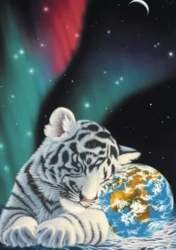 Schimmel William - Schim Schimmel - Earth Lights