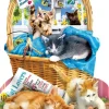 Schory Lori - Lori Schory - Free Kitties