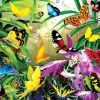 Schory Lori - Lori Schory - Tropical Butterflies