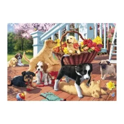 Secret Puzzle - Chiots