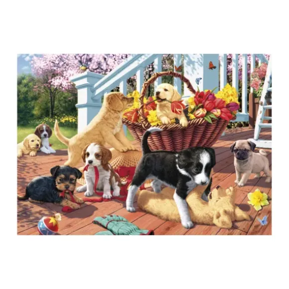 Secret Puzzle - Chiots
