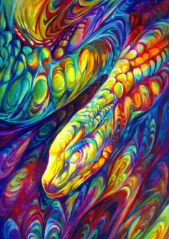Serpent Arc-En-Ciel