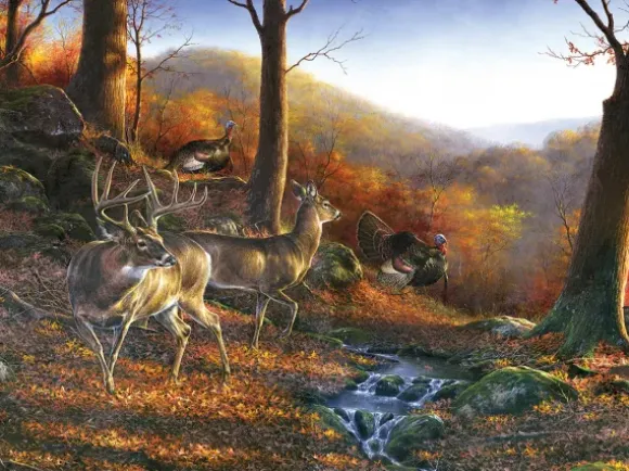Shawnee Hills