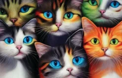 Six Chats Le Chat Lady Fantasy