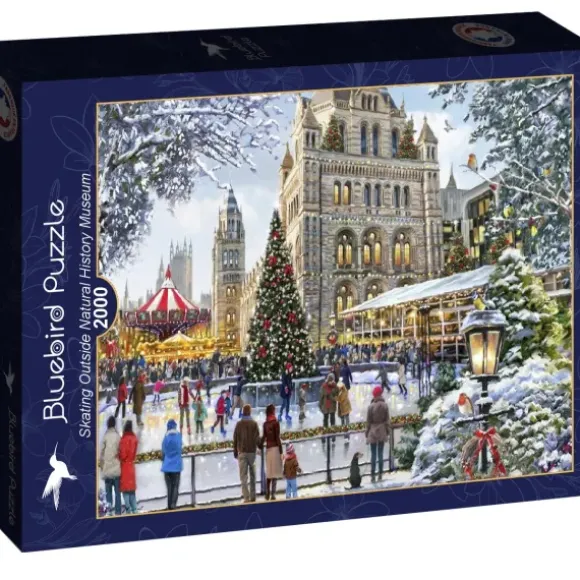 Skating Outside Natural History Museum