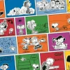 Snoopy II