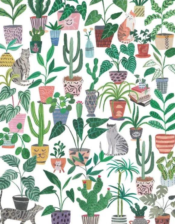Sofroniou Miranda - Chats et Plantes
