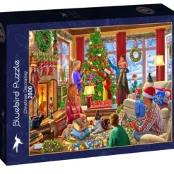 Steve Crisp - Christmas Decorating