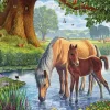 Steve Crisp - Steve Crisp - The Fell Ponies