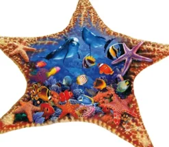 Steve Sundram - Starfish