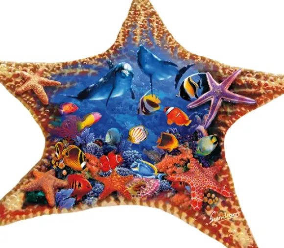 Steve Sundram - Starfish