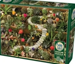 Succulent Garden
