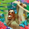 Sweet Sloths
