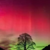 Sycamore Gap
