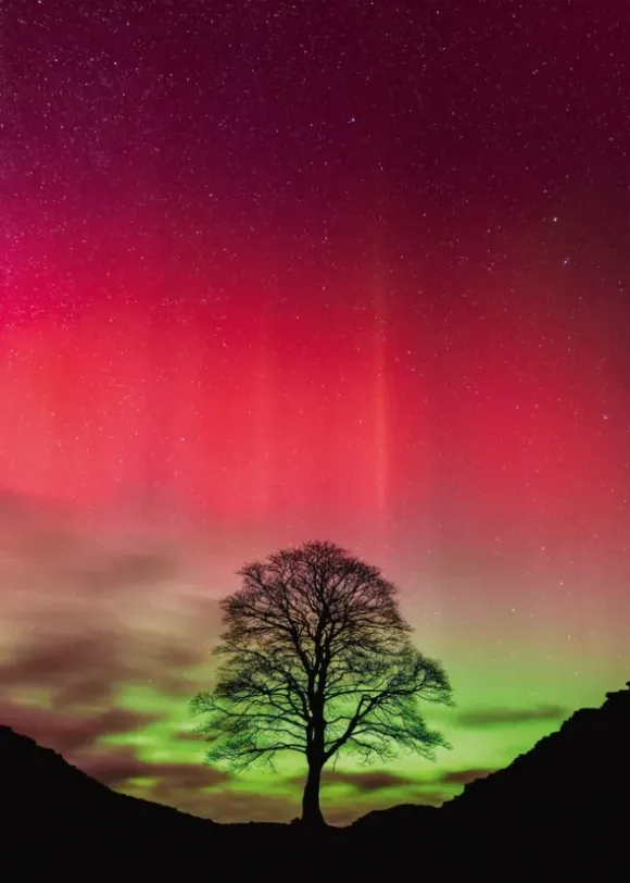 Sycamore Gap