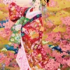 Syungetsu by Haruyo Morita
