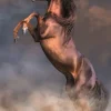 Étalon Rouge Sauvage