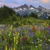 Tatoosh Mountains