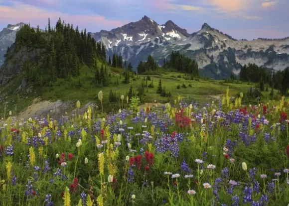 Tatoosh Mountains