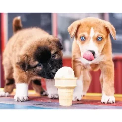 Temps d'une Glace !