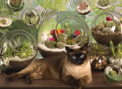 Terrarium Cat