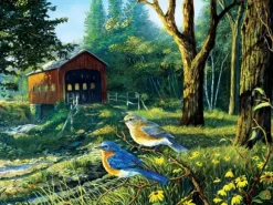 Terry Doughty - Sleepy Hollow Blue Birds