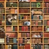 The Cat Library