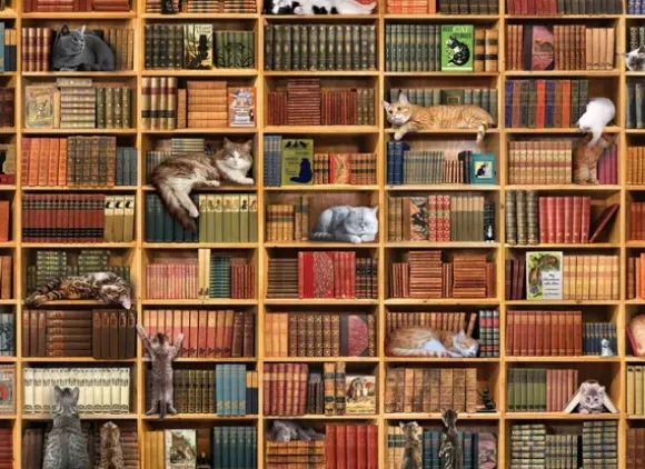 The Cat Library