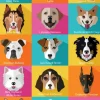 The Dogs