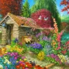 The Garden Shed