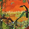 Thomas Alain - Toucan Ariel