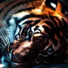 Tigre