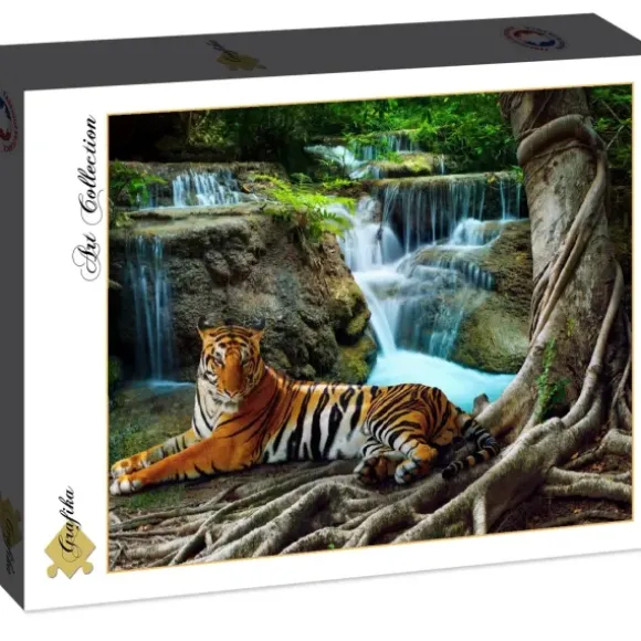Tigre et Cascade