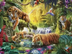 Tigres au Plan d'Eau