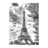 Tour Eiffel Noir et Blanche