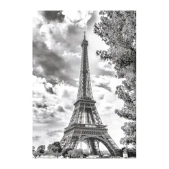 Tour Eiffel Noir et Blanche