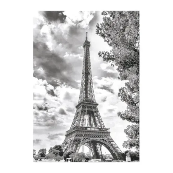 Tour Eiffel Noir et Blanche