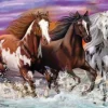 Trio de Chevaux Sauvages