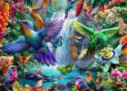 Tropical Hummingbirds