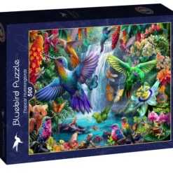 Tropical Hummingbirds