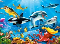 Tropical Underwater World
