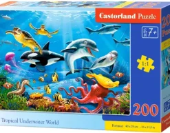 Tropical Underwater World