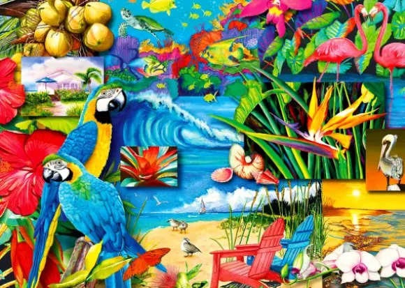 Trésors Tropicaux
