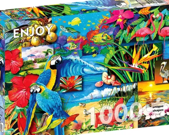 Trésors Tropicaux